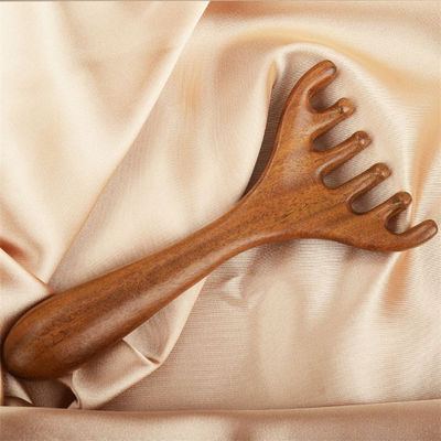 Sblocca la tua bellezza Cervo Corna Scalpo Forma Meridiano Massaggiatore Testa Gua Sha Massaggio pettine Per rilassamento del viso e del corpo