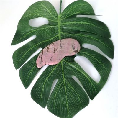 Massaggio per la salute del corpo Essential Natural Rhodochrosite Gua Sha Scraping Massager per la funzione di cura della salute
