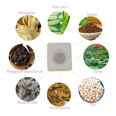 Detox Pancia Slim Patch Per Donne Spedizione gratuita Promuove il Metabolismo Bruciatura dei grassi Modellazione della vita Addominio Fessura Bianca OEM ODM
