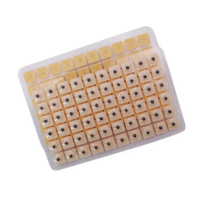 Aghi per l'agopuntura Massaggio funzionale 600 pezzi/scatola Semi di pressione per orecchie usa e getta multi-condizione Kit di agopressione per semi di orecchie