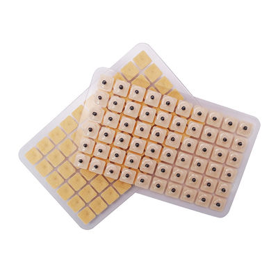 Aghi per l'agopuntura Massaggio funzionale 600 pezzi/scatola Semi di pressione per orecchie usa e getta multi-condizione Kit di agopressione per semi di orecchie