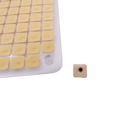 Aghi per l'agopuntura Massaggio funzionale 600 pezzi/scatola Semi di pressione per orecchie usa e getta multi-condizione Kit di agopressione per semi di orecchie