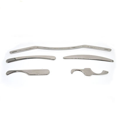 Proprietà dell'argento Strumenti in acciaio inossidabile per la bellezza Proprietà del massaggiatore 5 in 1 set