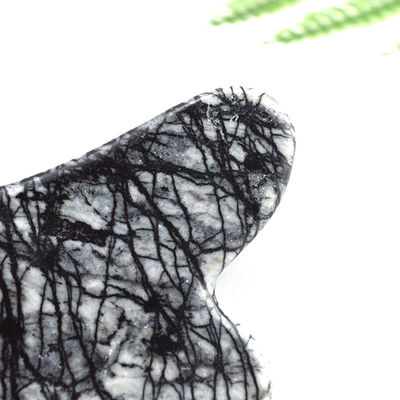 Discarico linfatico corpo intero Forma del cuore Picasso Jasper Gua Sha Scraping Massaggio Guasha Stone Massaggiatore facciale
