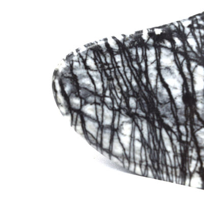 Discarico linfatico corpo intero Forma del cuore Picasso Jasper Gua Sha Scraping Massaggio Guasha Stone Massaggiatore facciale