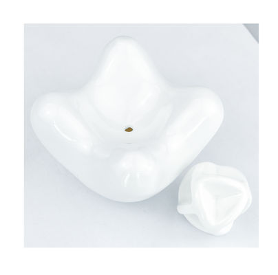 Scopri il potere curativo tradizionale del ceramico Gua Sha strumento facciale per il rilassamento del corpo