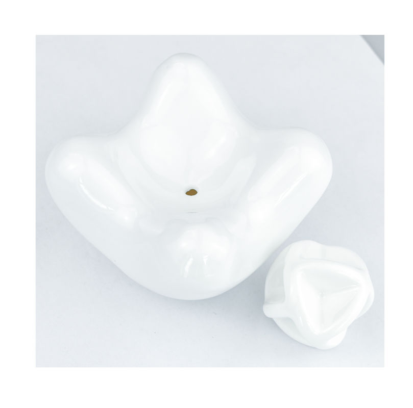 Scopri il potere curativo tradizionale del ceramico Gua Sha strumento facciale per il rilassamento del corpo